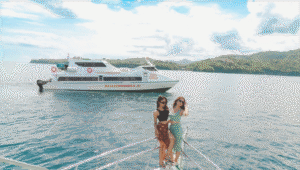 Bali to Gili Islands Fast Boat: A Journey with Chances to Spot Whales